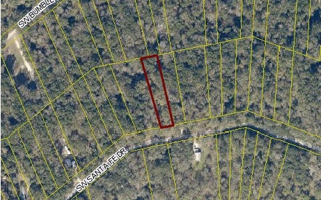 LOT 8 Santa fe Dr, Fort White, FL 32038 - photo 1