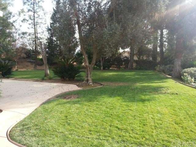Part of the yard.