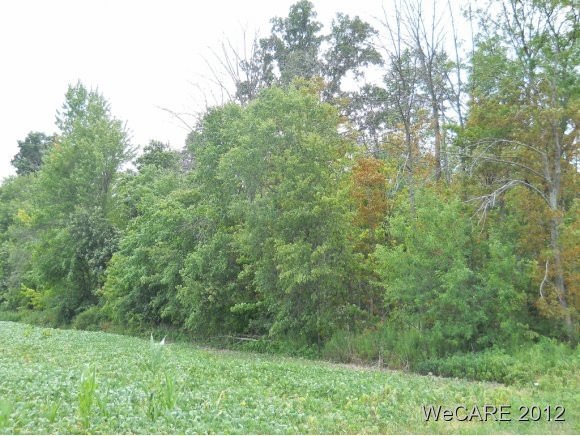 unlisted-address, Bluffton, OH 45817 - photo 1