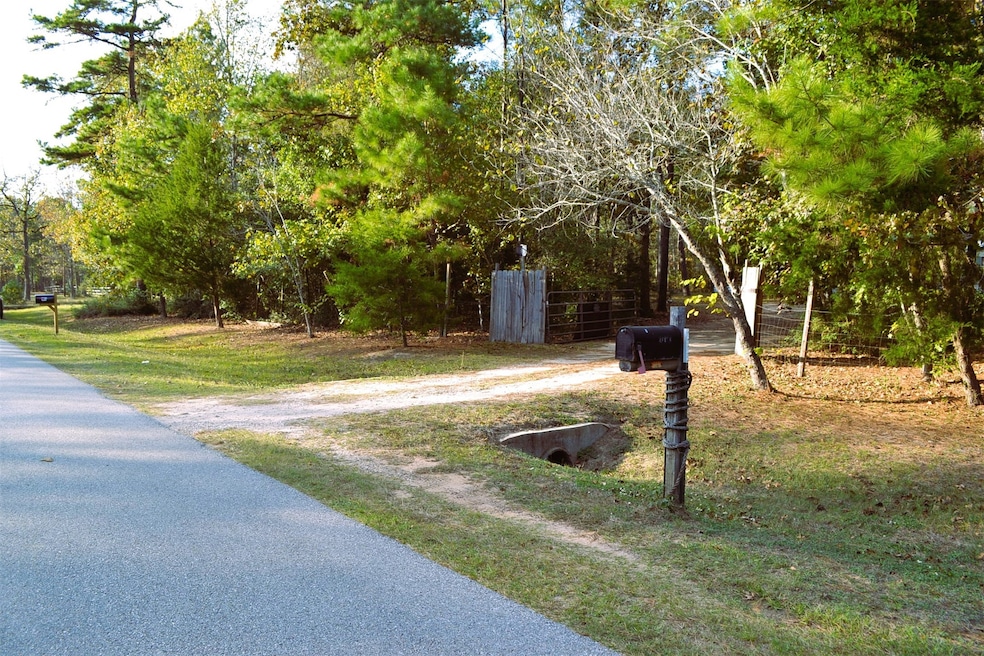 24854 Shady Oaks Blvd, Montgomery, TX 77316 - photo 1