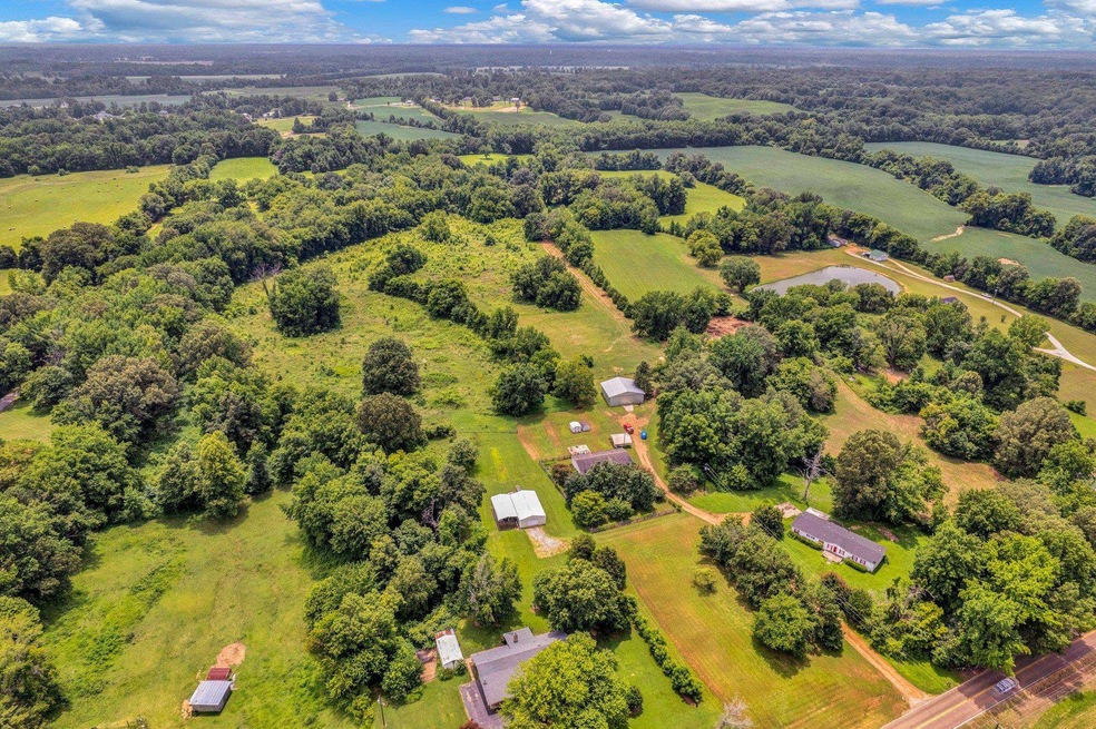 0 Holly Grove Rd, Covington, TN 38019 - photo 1