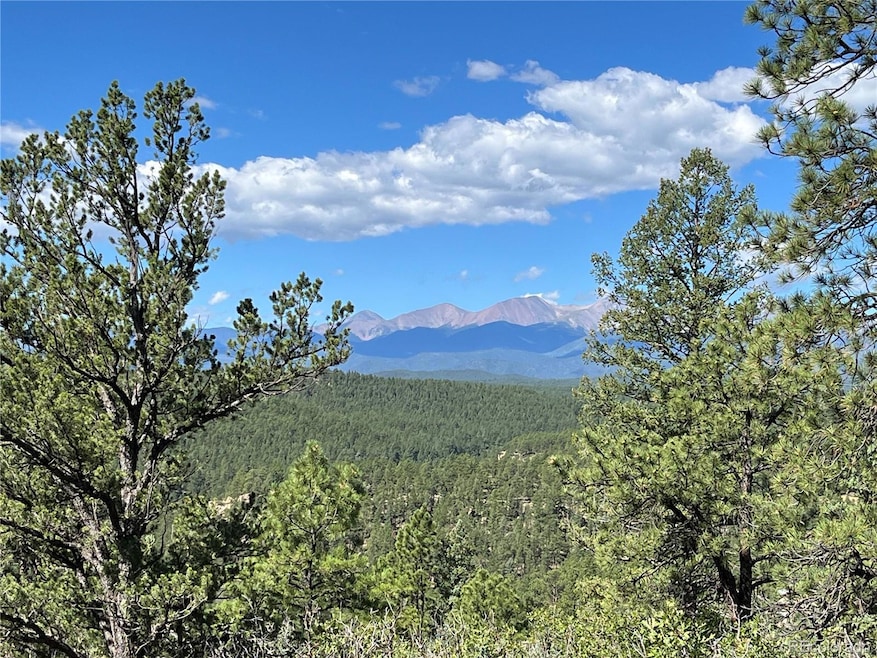 14200 County Rd 28 8, Weston, CO 81091 - photo 1