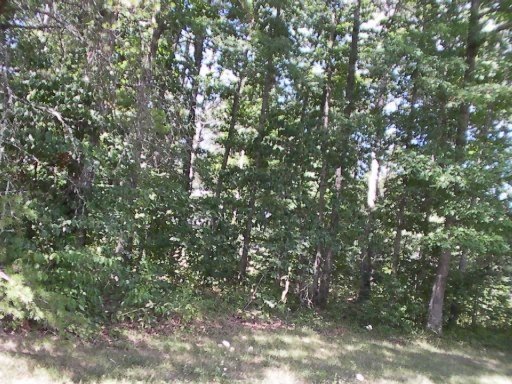 0 Troy Cir, Crossville, TN 38555 - photo 1