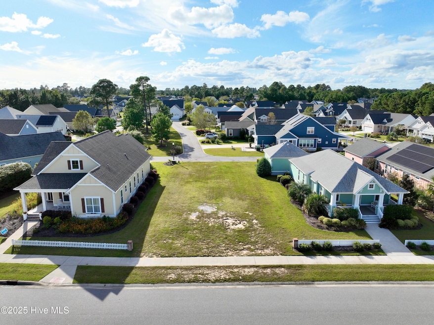 1315 Star Grass Way, Leland, NC 28451 - photo 1