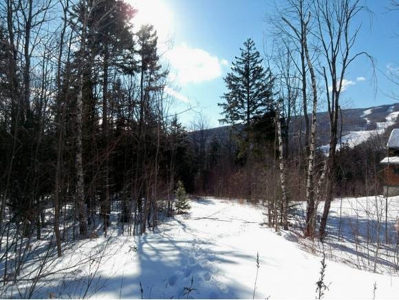 B Pinnacle View Dr unit B, Dover, VT 05356 - photo 1