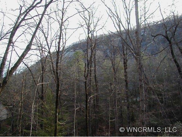View of Bald Mountain from lot