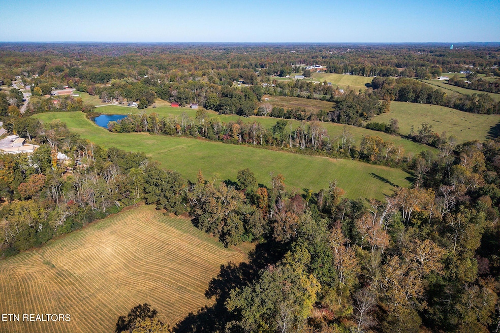 0 Bloomington Rd, Baxter, TN 38544 - photo 1