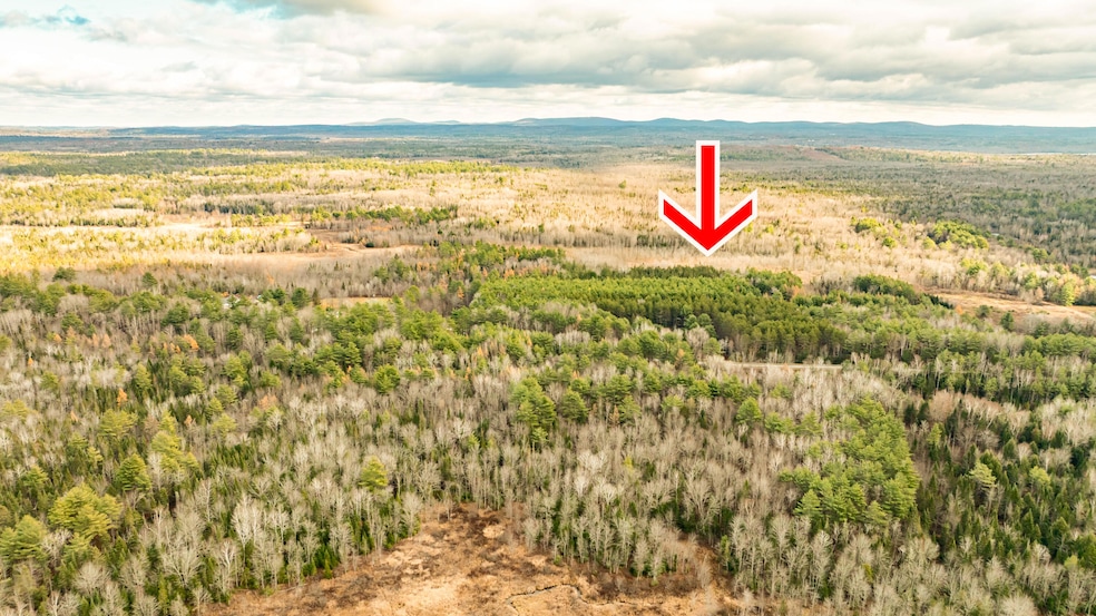 M9L19 Horseback Rd, Burnham, ME 04922 - photo 1