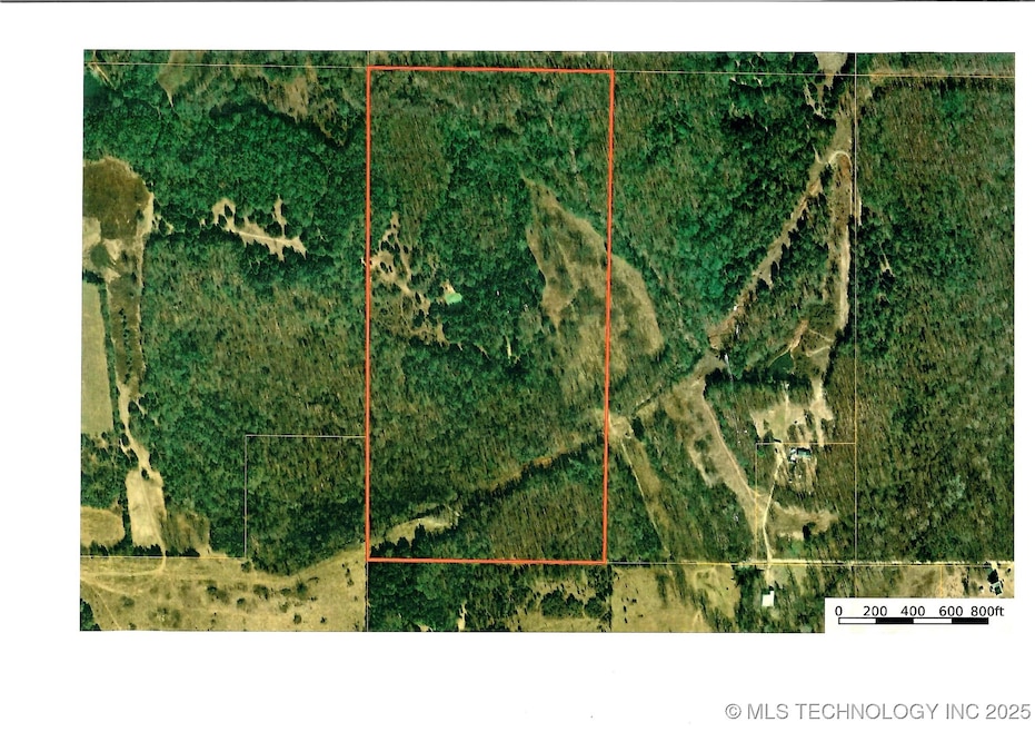 Aerial View of the 80 acres showing pond in the middle portion.