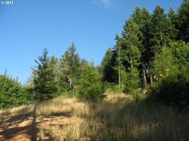0 S Bird Rd, Molalla, OR 97038 - photo 1