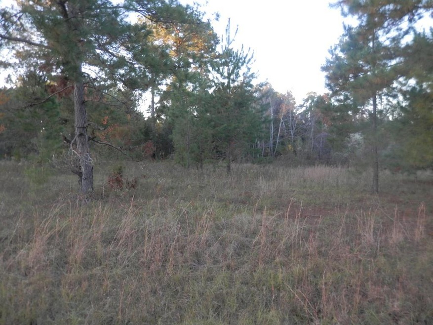 00 Hunters Way - Lot 10 (3 Acres)