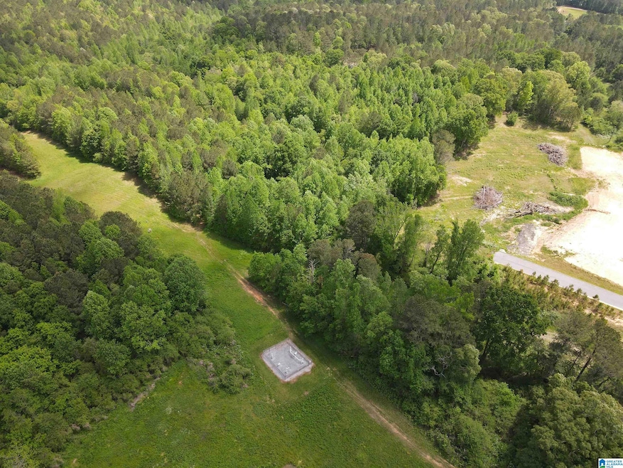 0 Highway 9 unit 1319111, Heflin, AL 36264 - photo 1