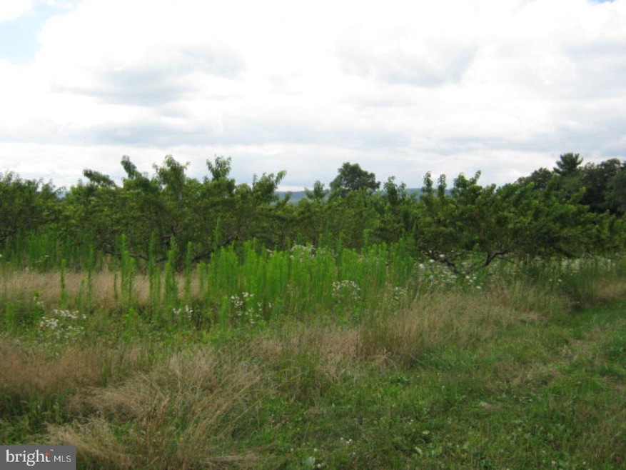 0 Beech Hollow Rd unit 1002312830, Schuylkill County, PA 17960 - photo 1