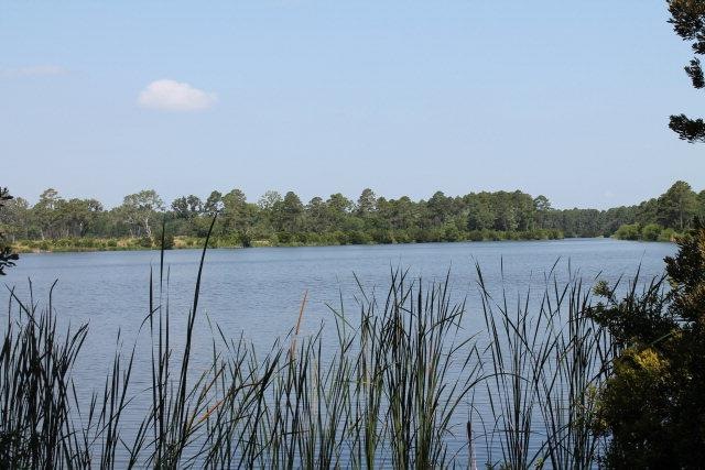Main View