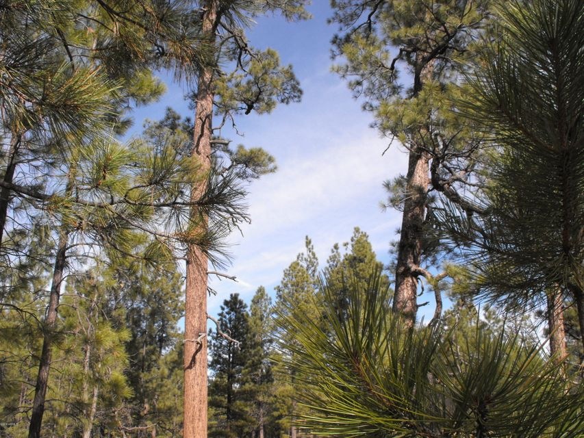 176 Pine Canyon 1