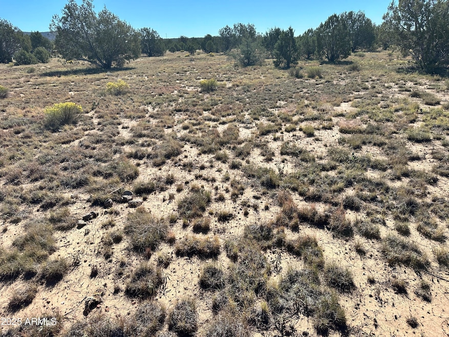 1381 W Isabella Ln, Ash Fork, AZ 86320 - photo 1