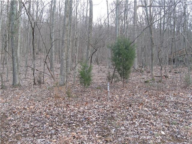 Lot # 5 Summit Trail in Sewanee Summit subdivision.