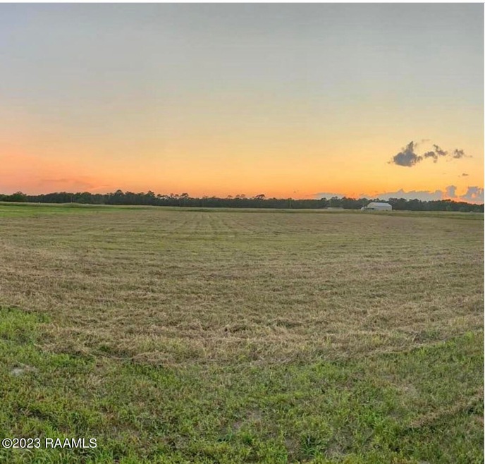 Tbd Vie Terre Beau Rd, Basile, LA 70515 - photo 1