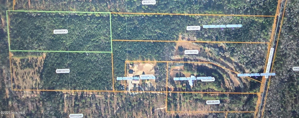 Michael and Anthony's photo of Land
