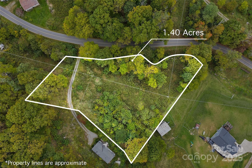 348 Chandler Creek Rd, Mars Hill, NC 28754 - photo 1