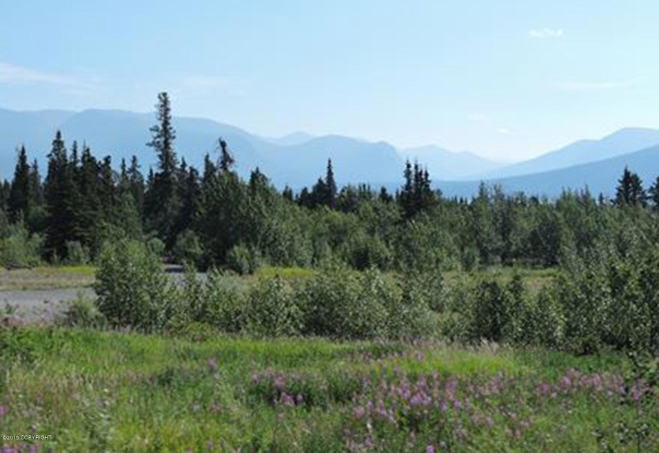 Tok, AK