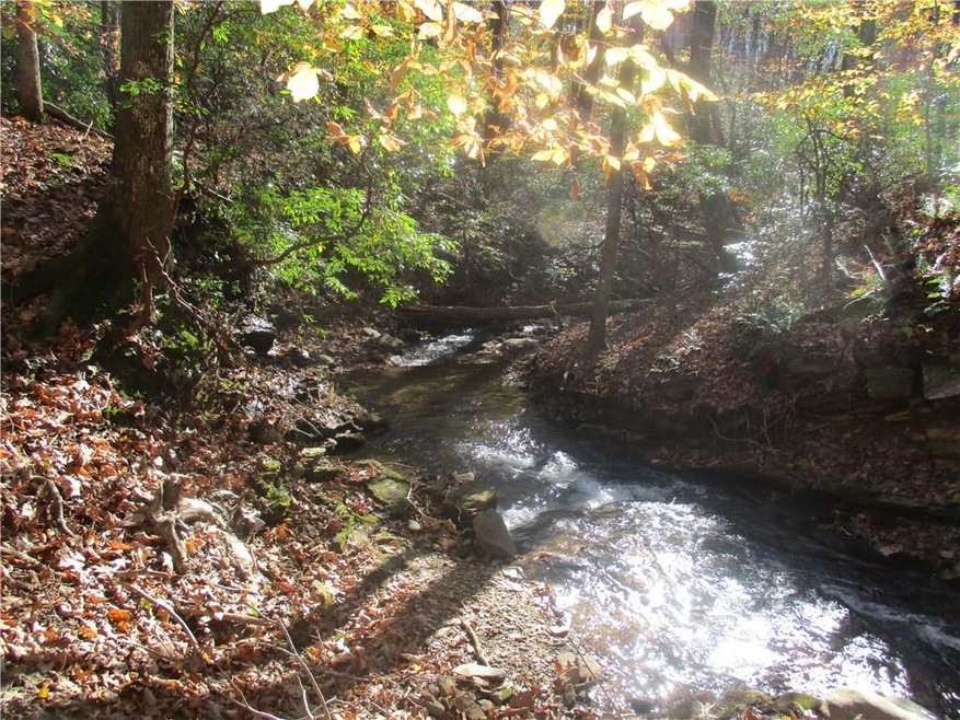 3591 Cool Springs Ct, Jasper, GA 30143 - photo 1