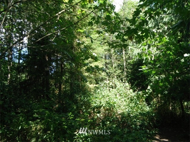 0 150th Ave E unit 1047704, Graham, WA 98338 - photo 1