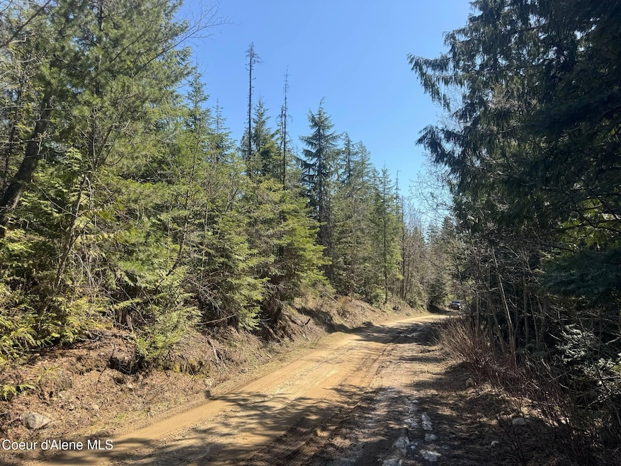 NNA Upper Manley Creek Rd 20 Acres, Laclede, ID 83841 - photo 1