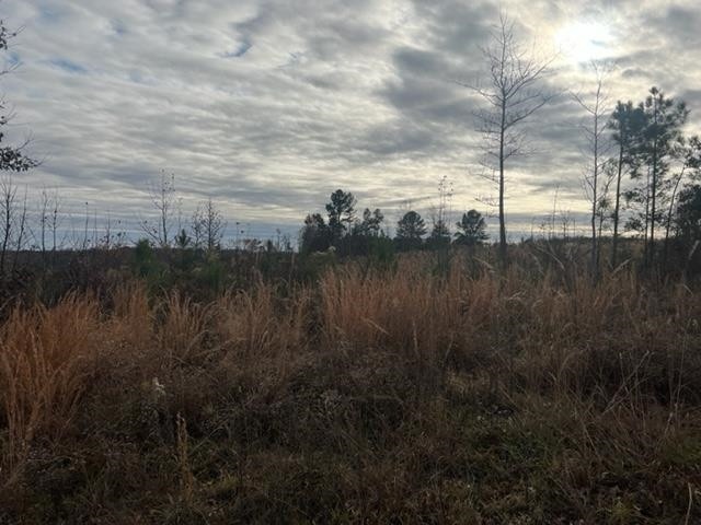 0001 Mount Vernon Springs Rd, Siler City, NC 27344 - photo 1