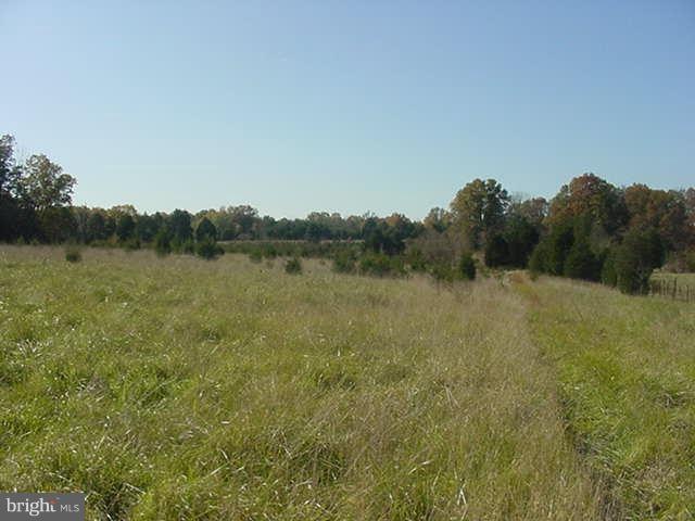 21485 Mt Pony Rd, Culpeper, VA 22701 - photo 1