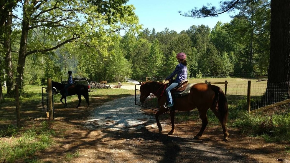 Carousel Image