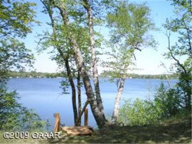 9991 Paulins Ln, Alexandria, MN 56308 - photo 1