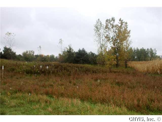 Land. Part of road frontage.