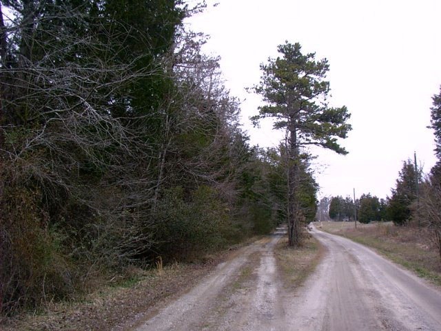 0 Cedar Ln unit 61A&B 34333, Kenbridge, VA 23944 - photo 1