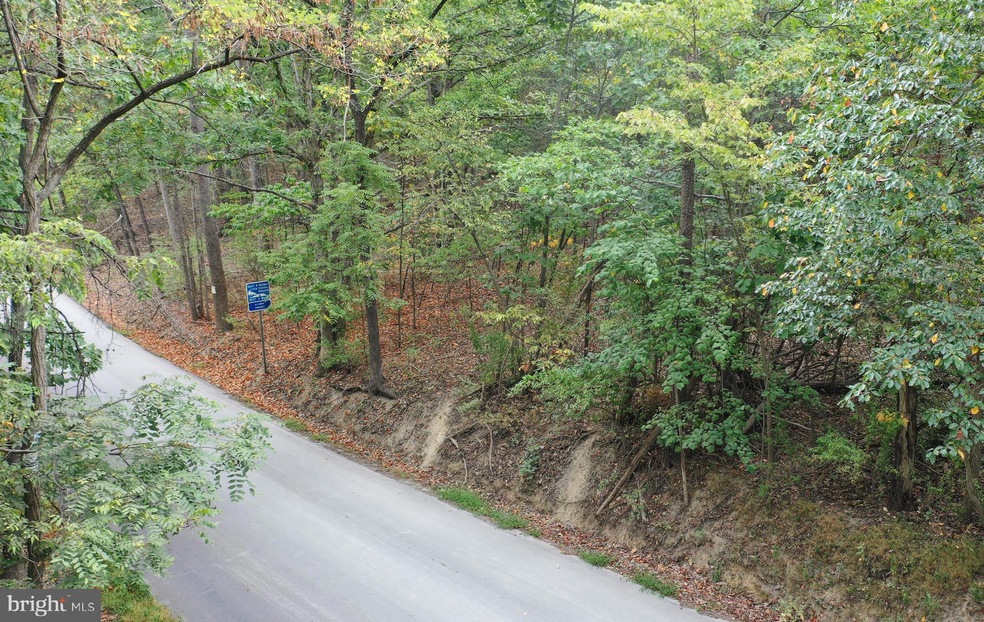 Lot 100 McCubbins Hollow Rd, Gerrardstown, WV 25420 - photo 1