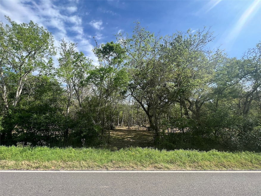 0 Cr 400 Tract 3, Brazoria, TX 77422 - photo 1