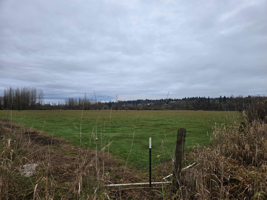 255xx NE 138th St, Duvall, WA 98019 - photo 1