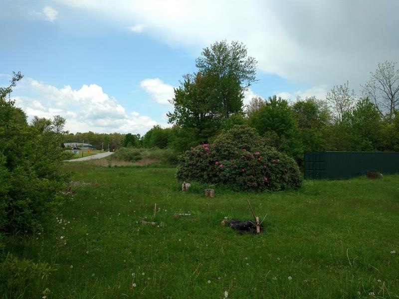 84.08 acres, Rte 286 Hwy E, Commodore