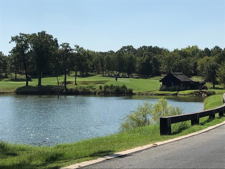 Lot 13E Dublin Cir, Gordonville, TX 76245 - photo 1