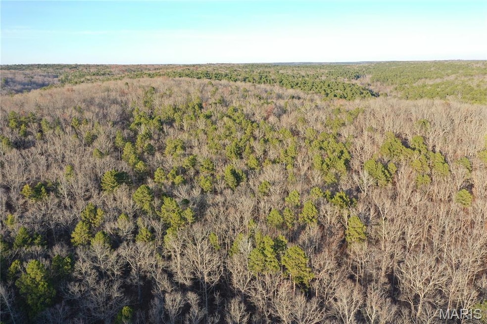 TBD County Road 426, Epps Township, MO 63901 - photo 1