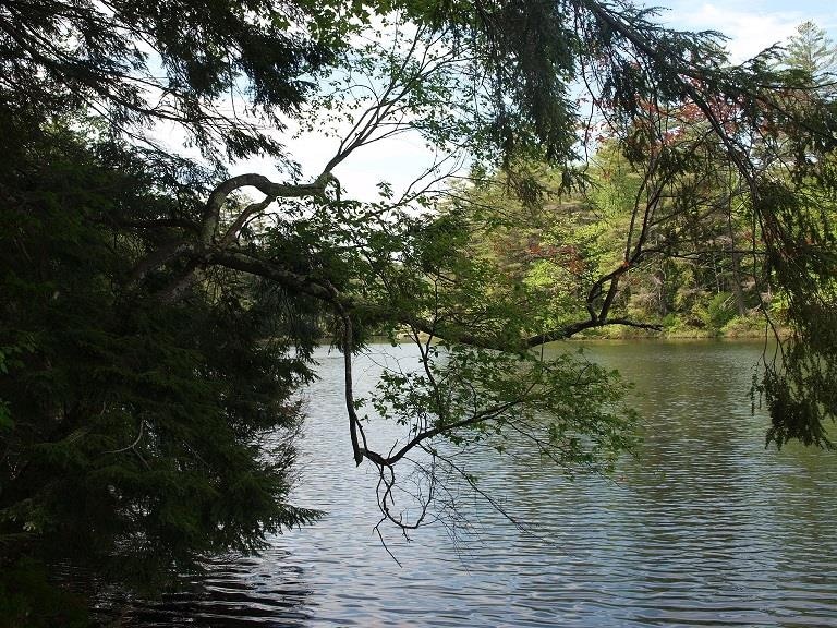 000 Partridge Lake Rd, Littleton, NH 03561 - photo 1