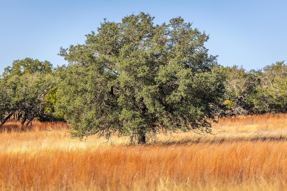 1260 County Road 2001, Lampasas, TX 76550 - photo 1