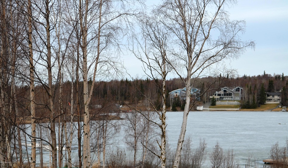 Similar View of Campbell Lake
