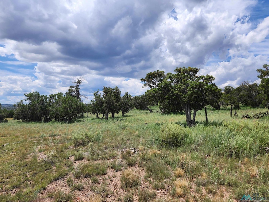 132 Cimarron Dr, Quemado, NM 87829 - photo 1