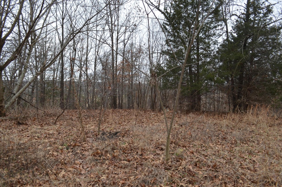 wooded land