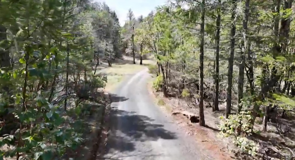 Screenshot_20250502_220127_Drive