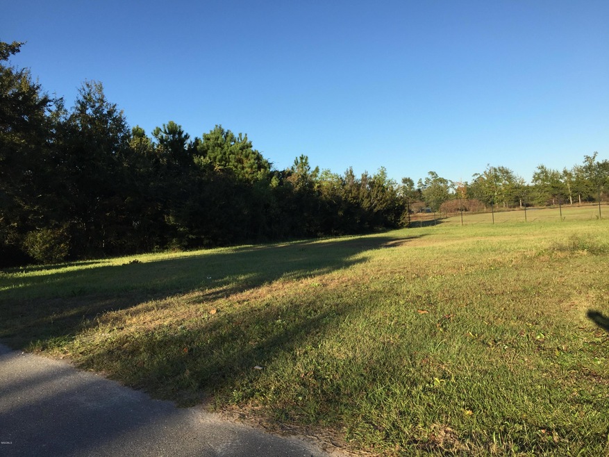 Beautiful cleared double lot