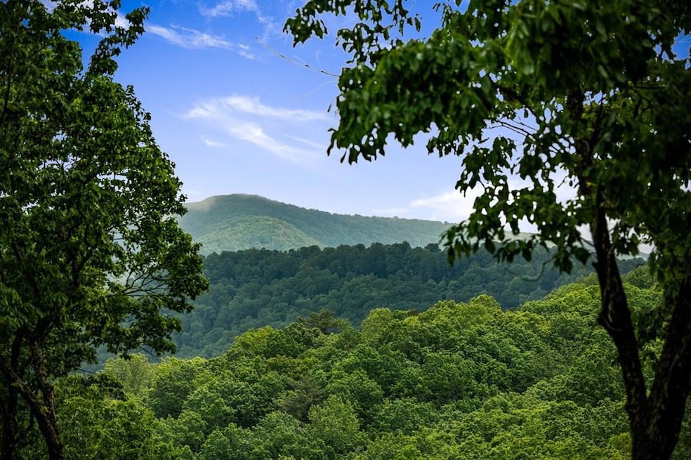 947 Mountain Oak Rd, Ellijay, GA 30536 - photo 1