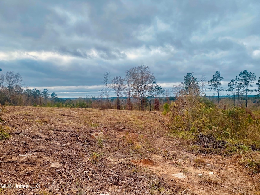 0 Saint Anne Rd, Carthage, MS 39051 - photo 1