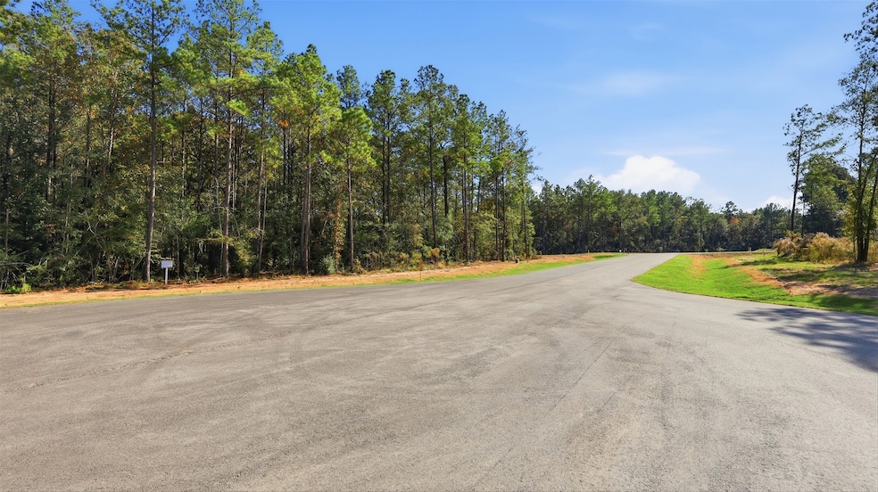 25219 Chisos Bend, Montgomery, TX 77316 - photo 1